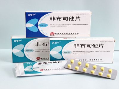 非布司他片（20mg、 40mg）